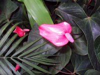 photos 2000-200902621